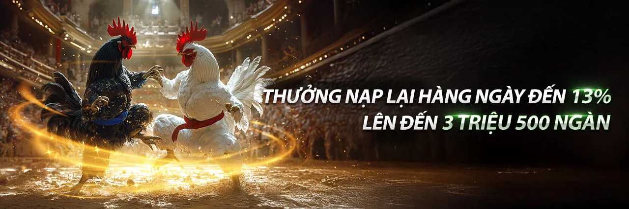 Đá gà trực tuyến AX88 link 2026 với đấu trường sôi động và khán giả cuồng nhiệt